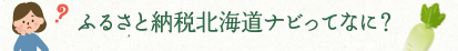 ふるさと納税北海道ナビってなに？